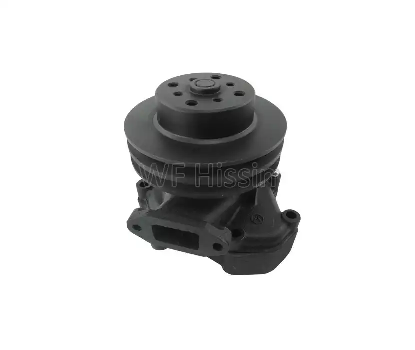 Water pump LZ70-80